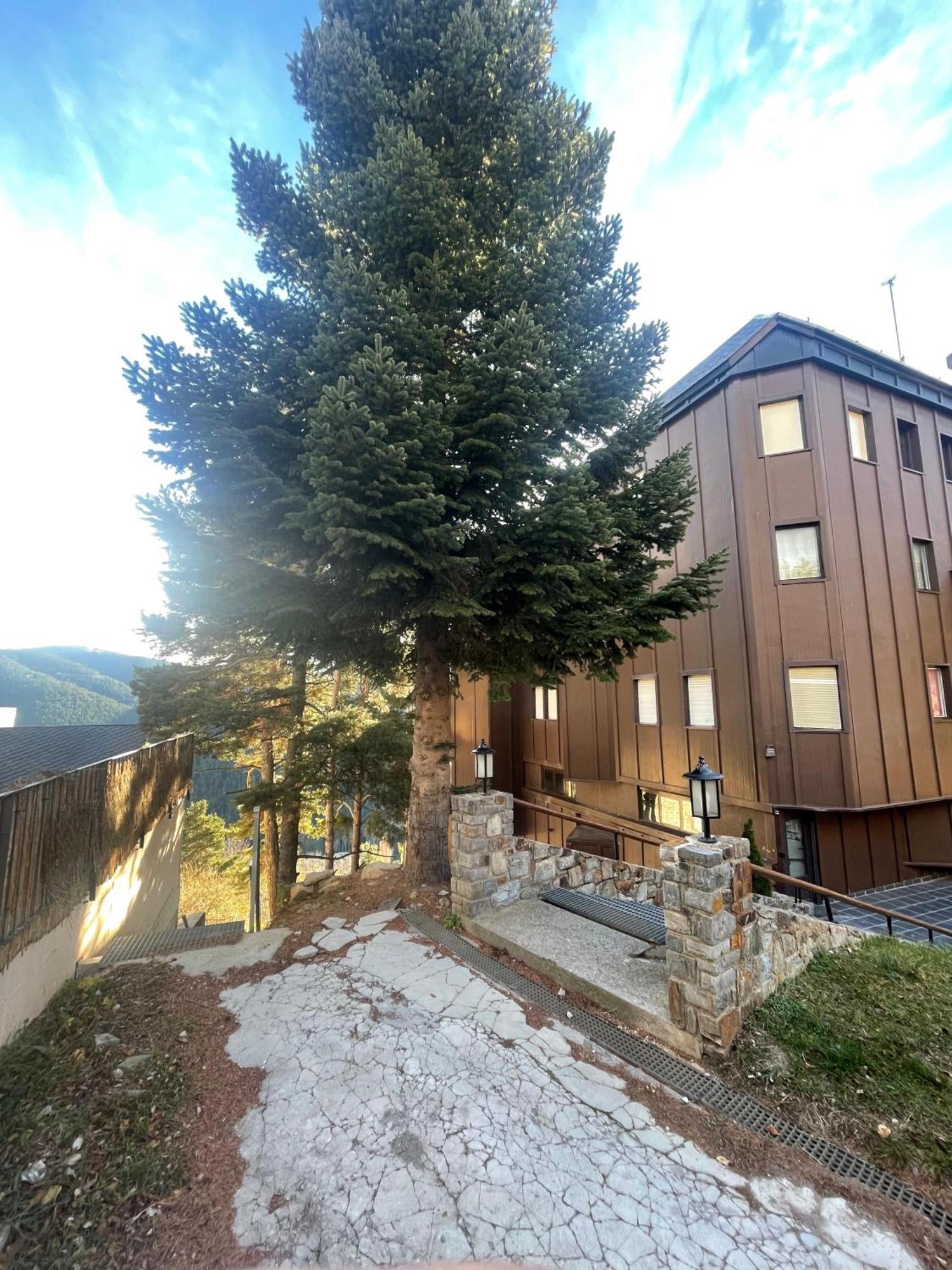 Apartamento Acogedor En La Molina, 2Hab, Wi Fi La Molina  Extérieur photo